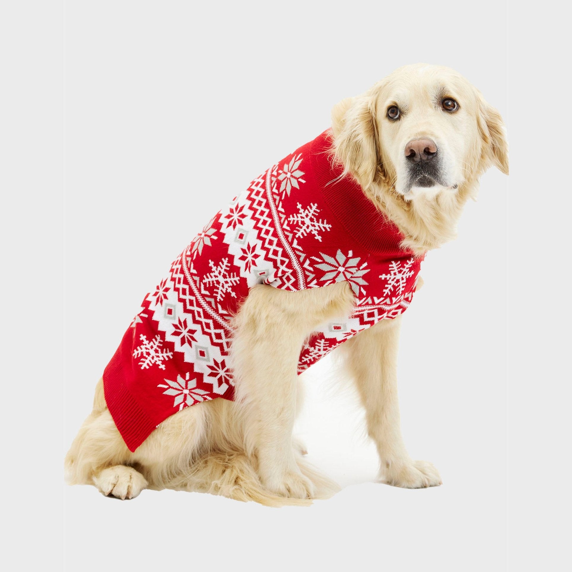 Den cute hundejulesweater